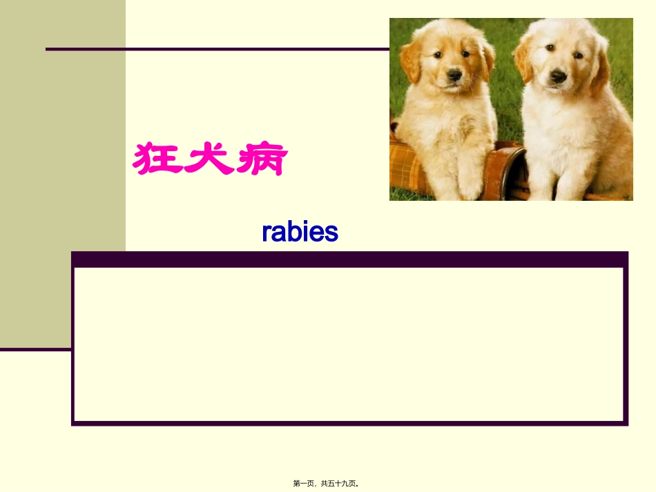 狂犬病病例讲座课件_第1页