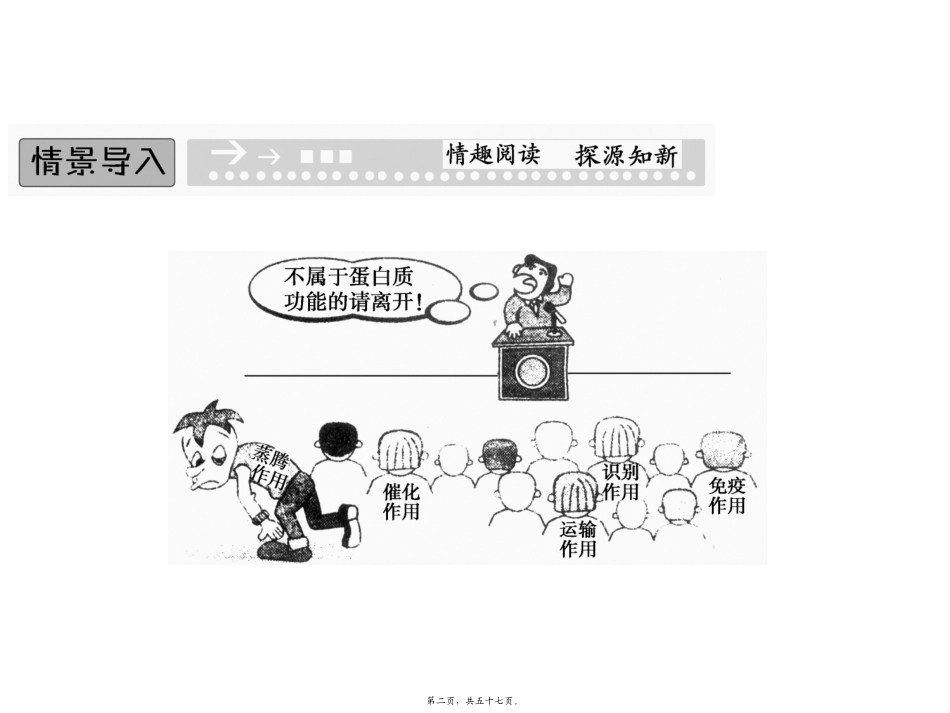 教学课件生命活动的主要承担者─蛋白质(必修1)_第2页