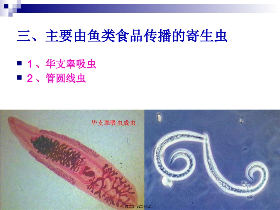 《烹饪营养与卫生》食源性寄生虫病及其控制 烹饪管理系 教学课件_第2页