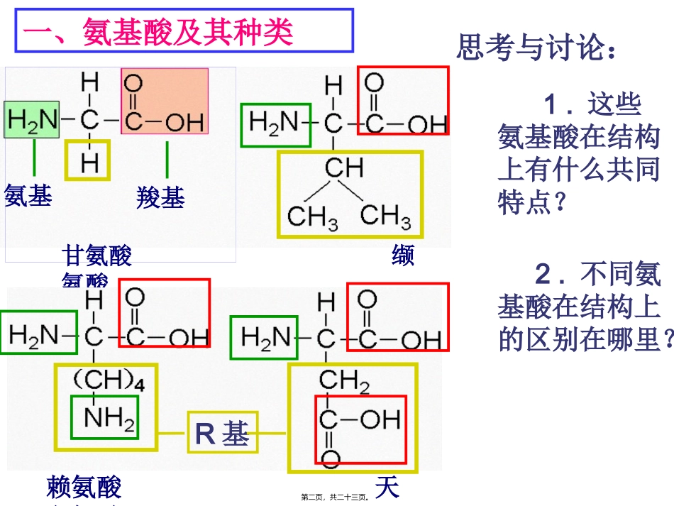 教学课件生命活动的主要承担者----蛋白质_第2页