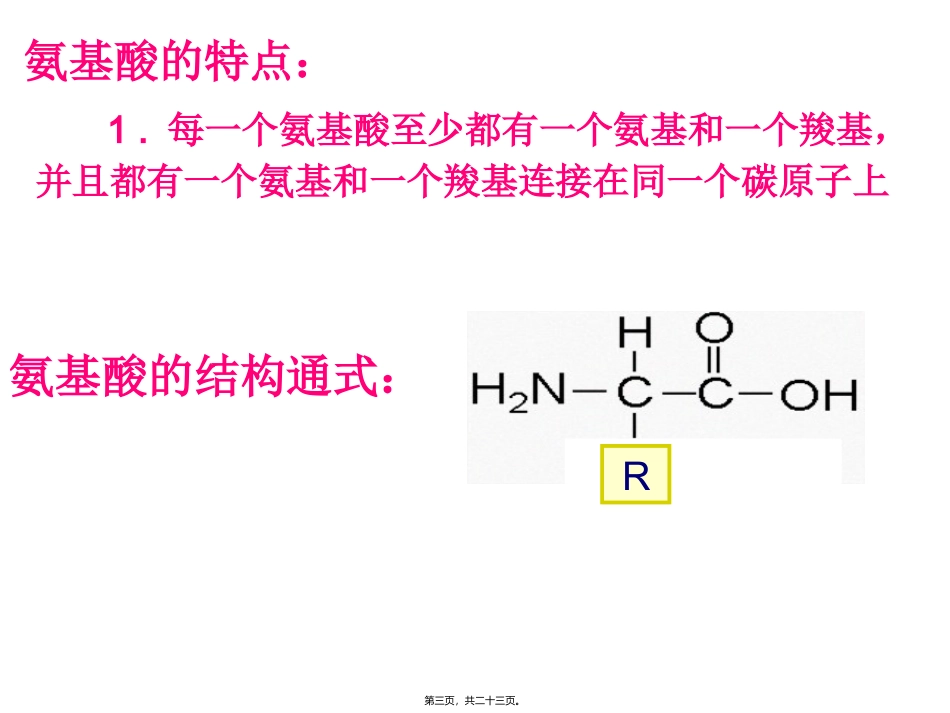 教学课件生命活动的主要承担者----蛋白质_第3页