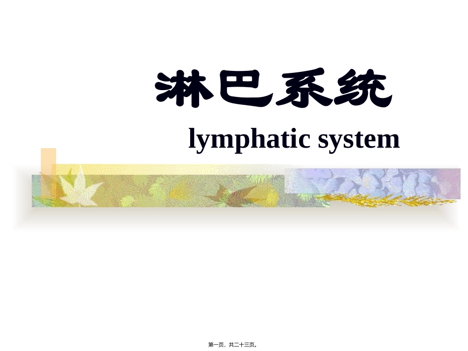 淋巴系统 医学教学培训课件_第1页