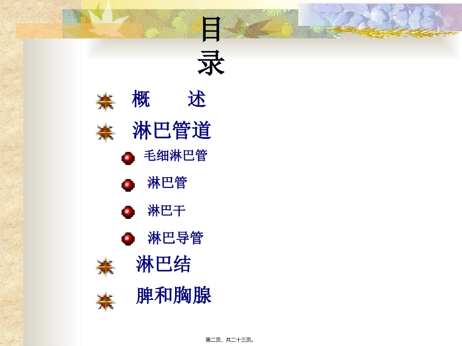 淋巴系统 医学教学培训课件_第2页