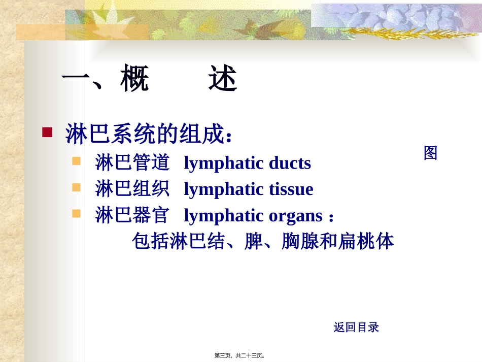 淋巴系统 医学教学培训课件_第3页
