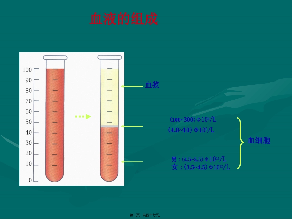 结缔组织第五章：血液和淋巴 医学课件_第1页