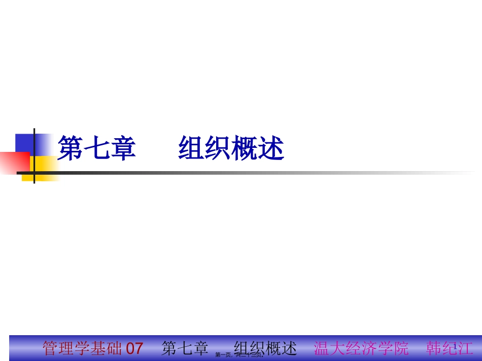 07组织概述_第1页