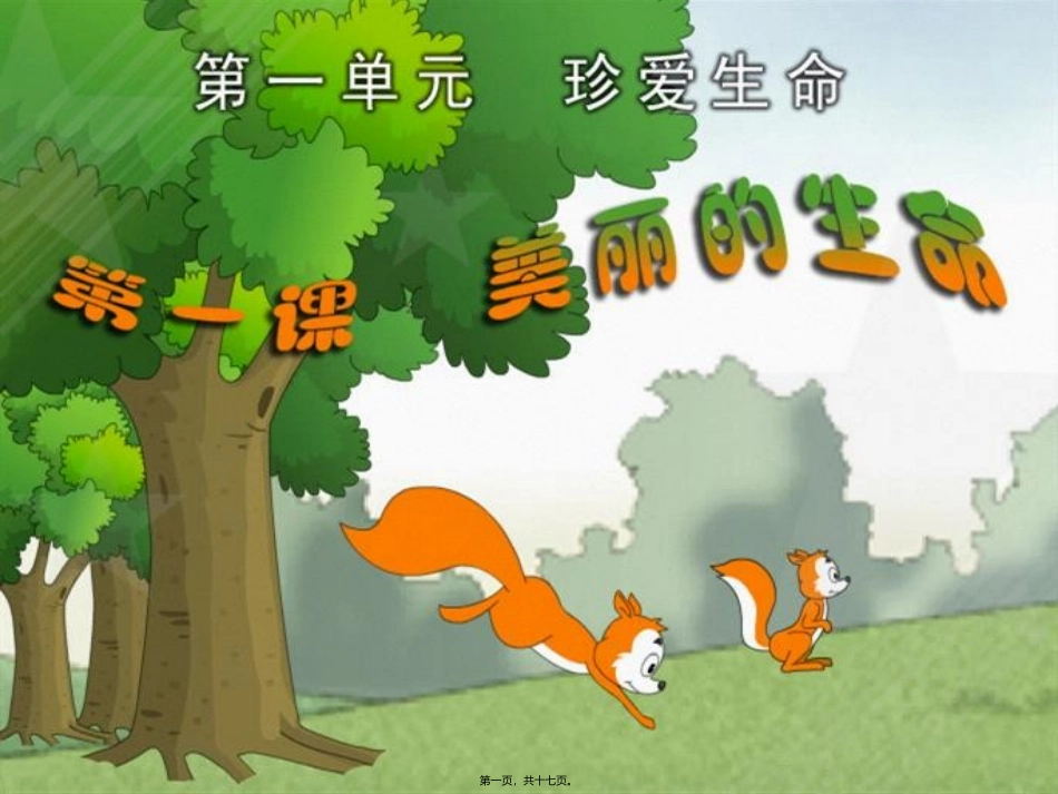 美丽的生命一 教学课件_第1页