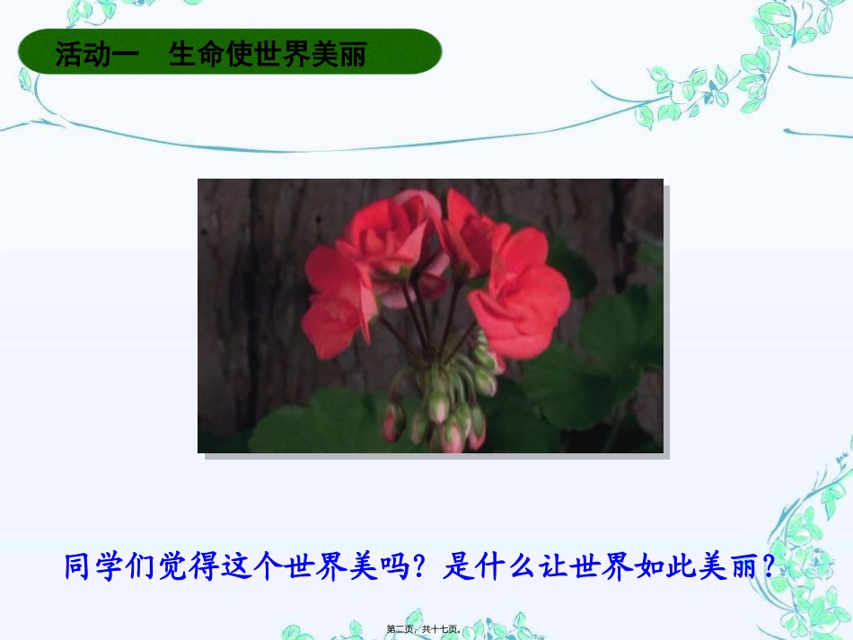 美丽的生命一 教学课件_第2页