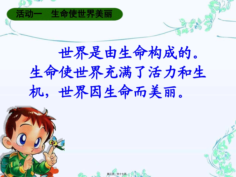 美丽的生命一 教学课件_第3页