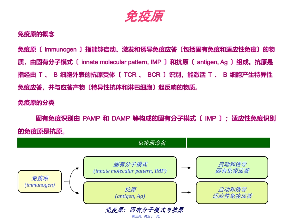 免疫原和免疫球蛋白 教学培训课件_第3页