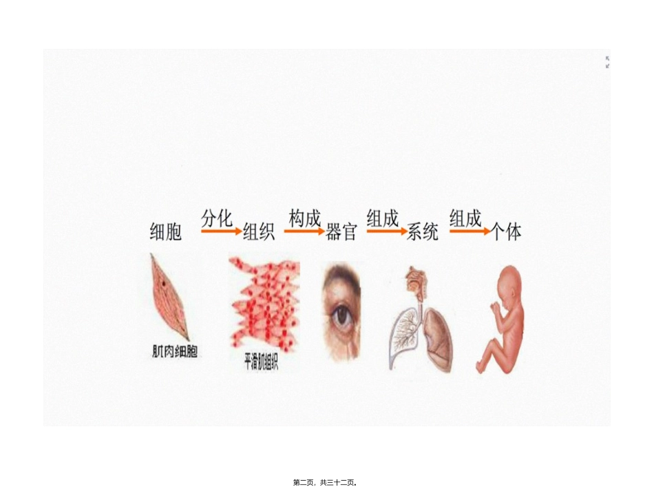 《生命活动的基本单位—细胞》教学课件_第2页