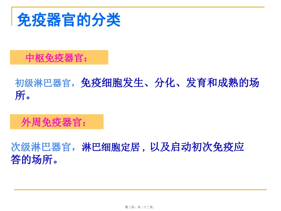 免疫器官和组织 教学课件_第3页
