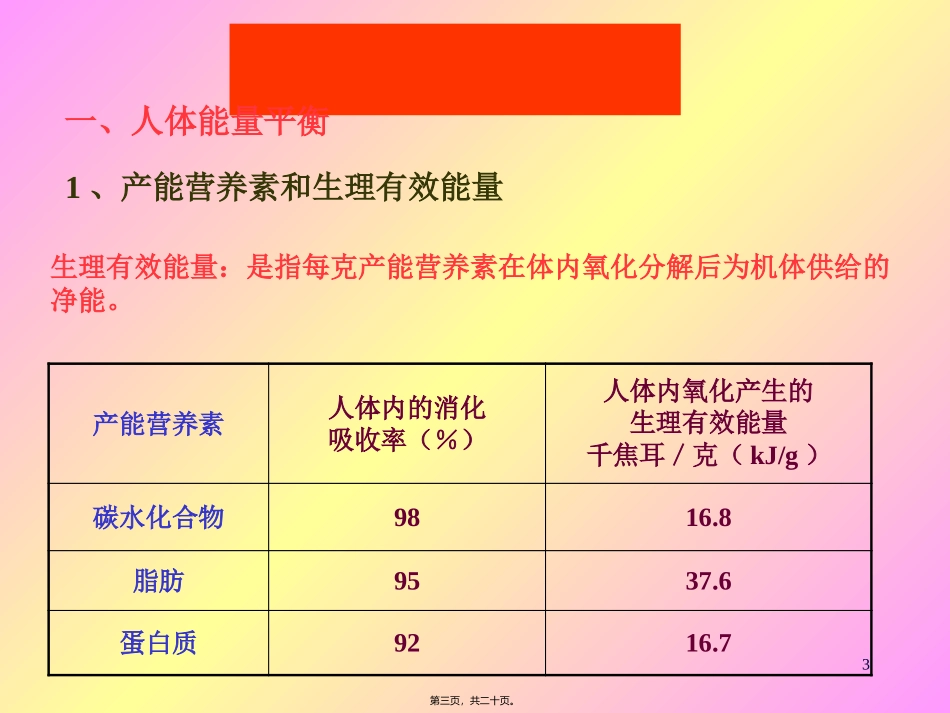 《食品营养学》人体能量需要 教学课件_第3页