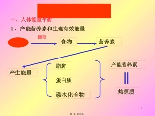 《食品营养学》人体能量需要 教学课件