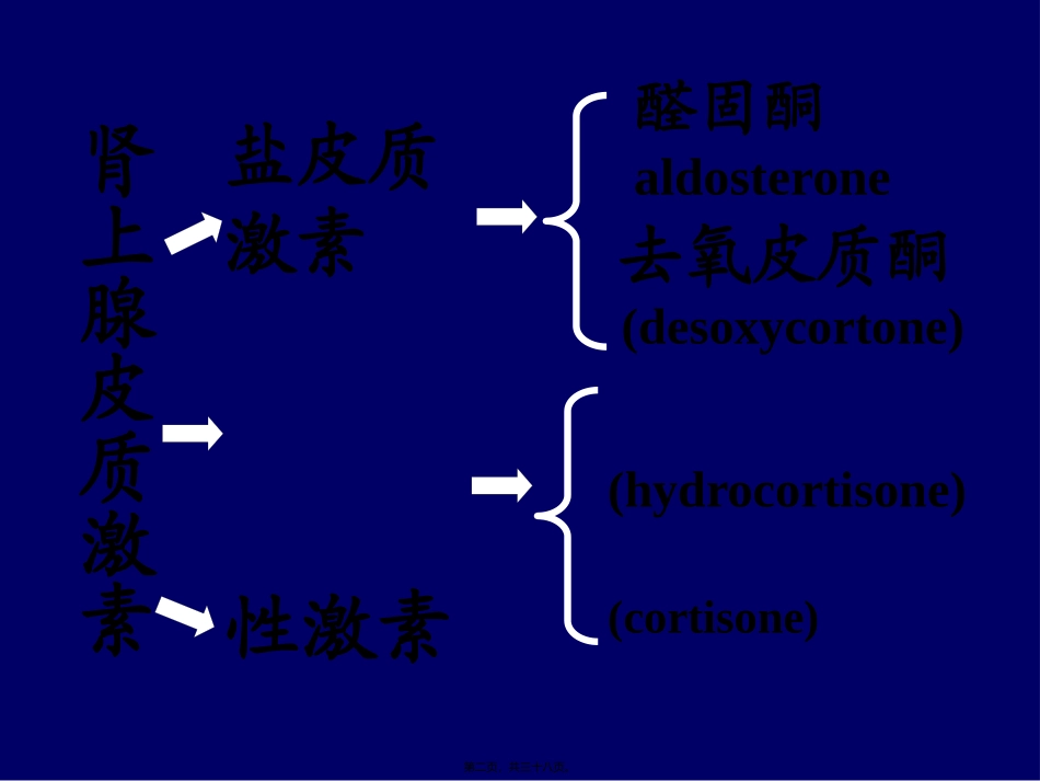拟抗副交感神经药 医学教学课件_第2页