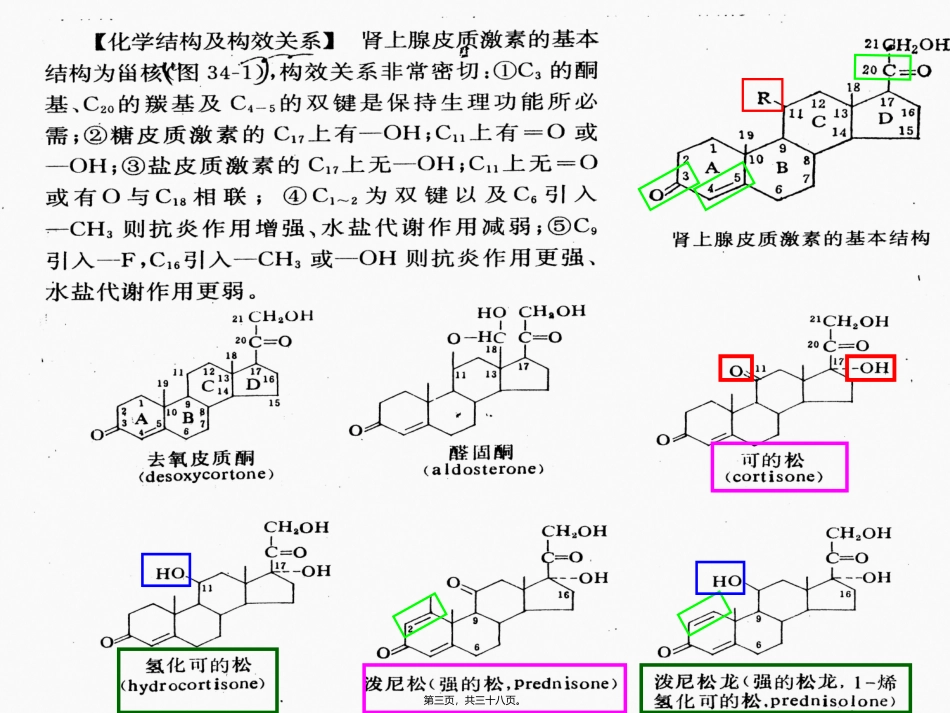 拟抗副交感神经药 医学教学课件_第3页