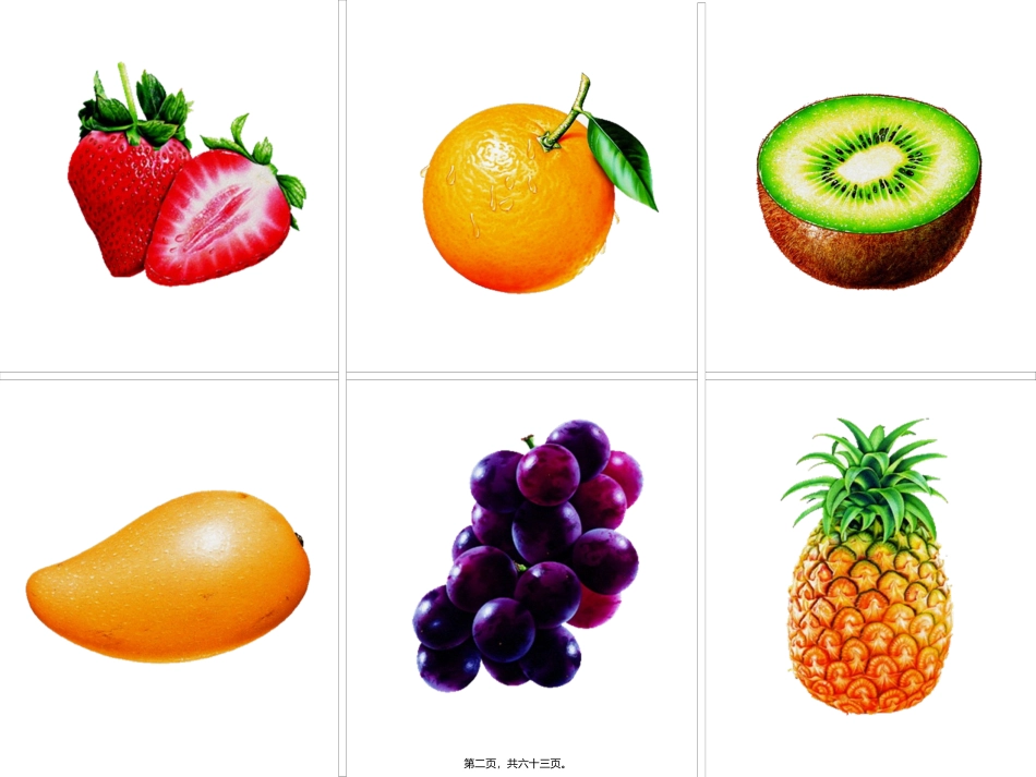 脑与神经 科学教学课件_第2页