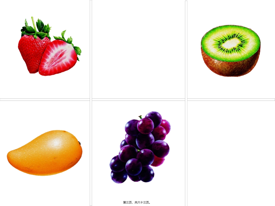 脑与神经 科学教学课件_第3页