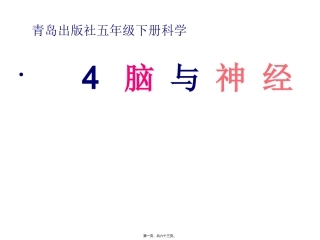 脑与神经 科学教学课件