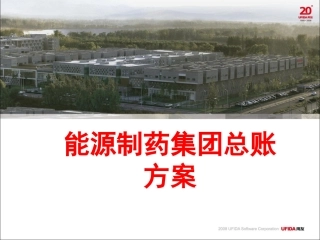 能源制药集团总账方案