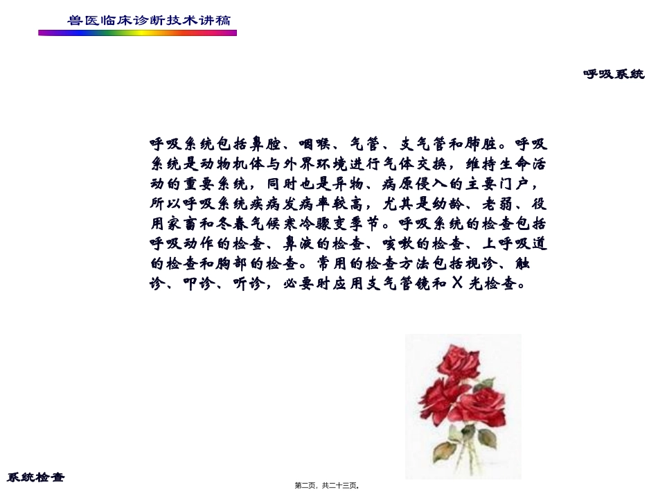 培训课件  兽医临床诊断技术讲稿 第四章--呼吸系统的检查_第2页