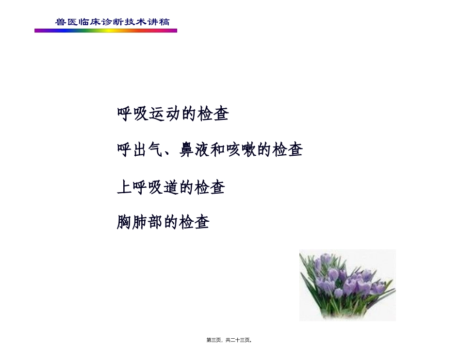 培训课件  兽医临床诊断技术讲稿 第四章--呼吸系统的检查_第3页
