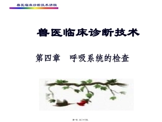培训课件  兽医临床诊断技术讲稿 第四章--呼吸系统的检查