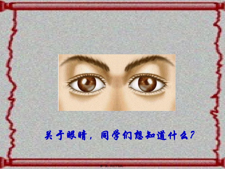 培训课件 眼睛与眼镜汇编_第1页