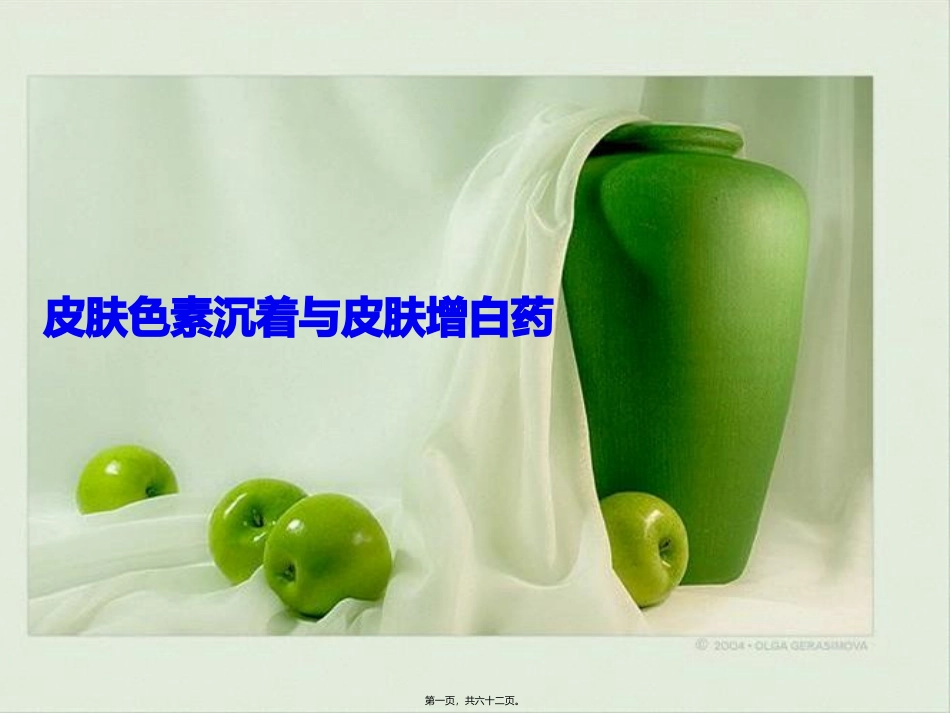 皮肤色素沉着与增白药 讲座课件_第1页