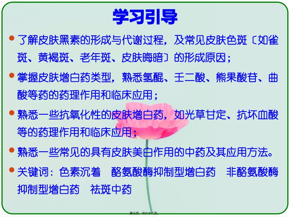 皮肤色素沉着与增白药 讲座课件_第3页