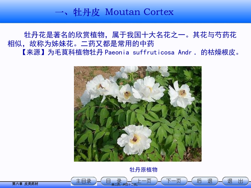 皮类药材详解 讲座课件_第2页