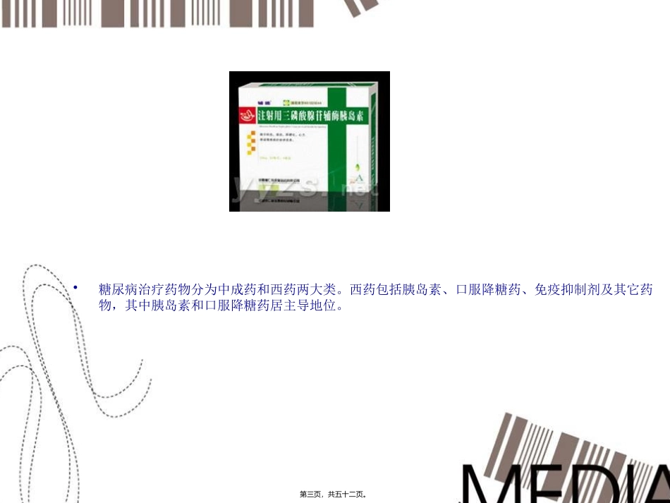 《糖尿病新世界》杂志商务合作培训课件_第3页