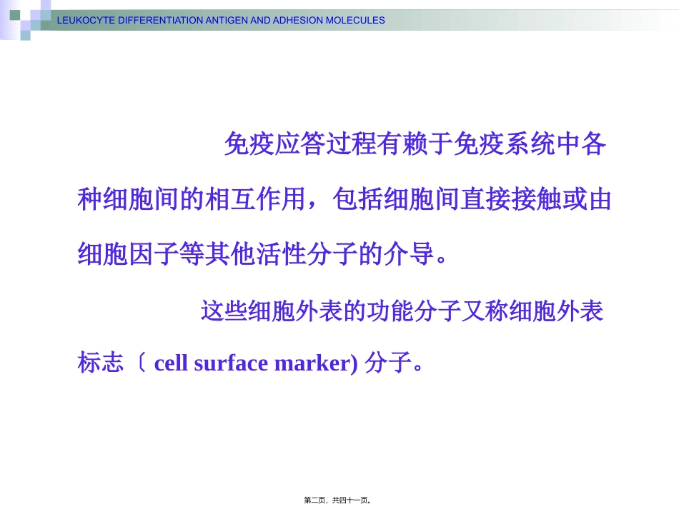 7.白细胞分化抗原和粘附分子_第2页
