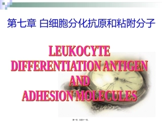 7.白细胞分化抗原和粘附分子