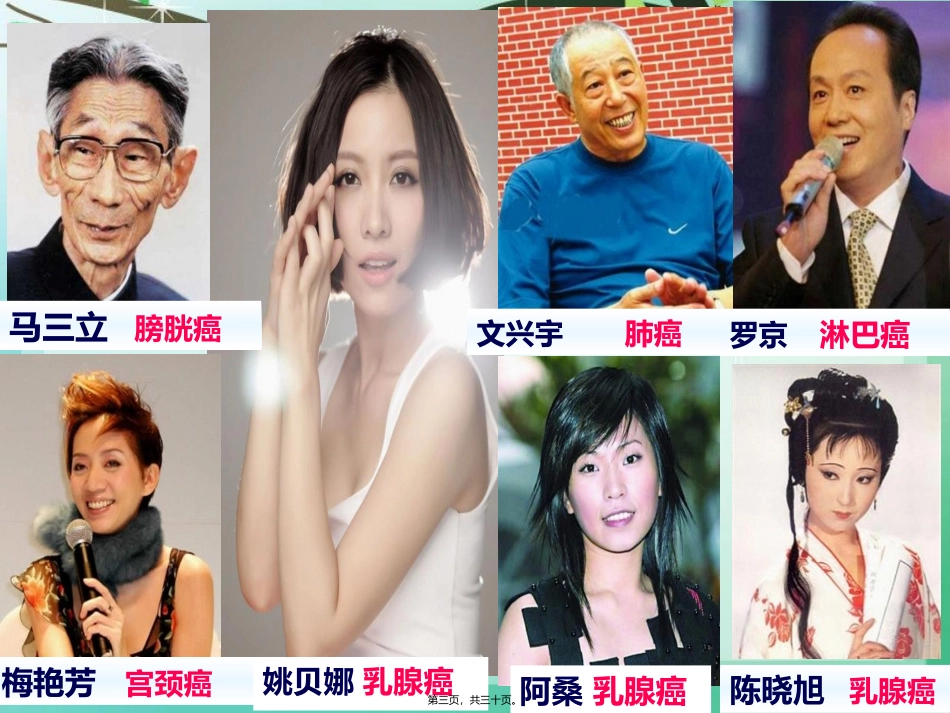 《细胞癌变》参考课程 教学课件_第3页