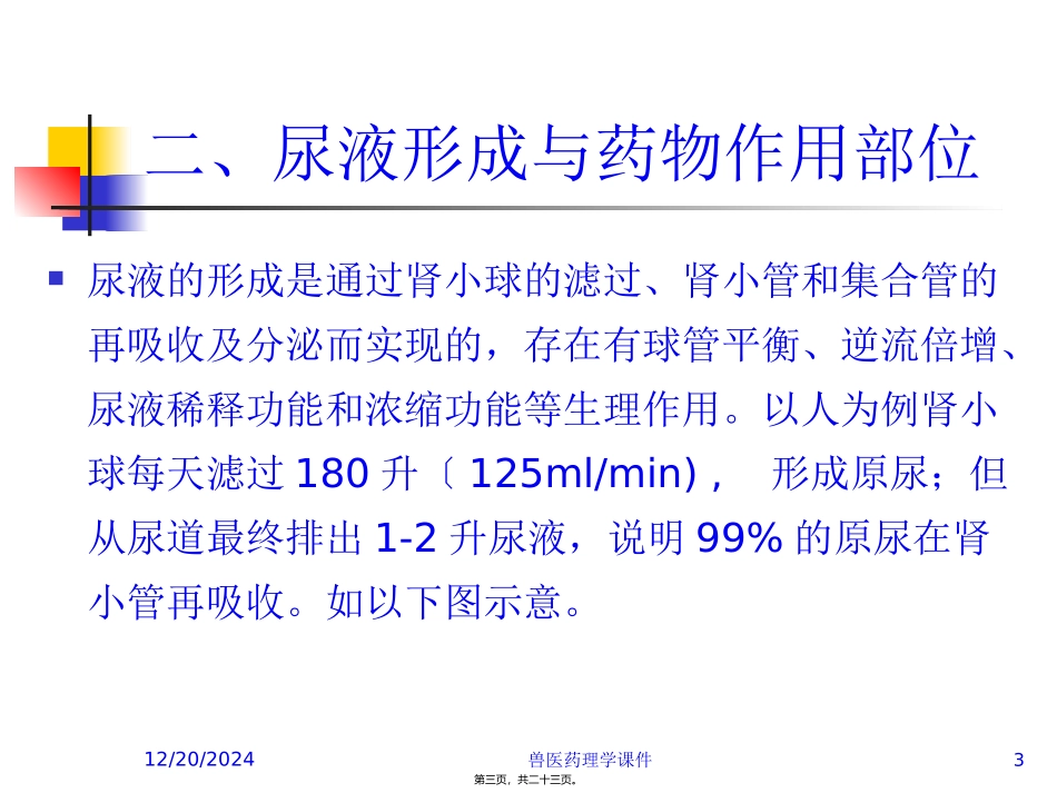 7.第七章--利尿药及脱水药_第3页