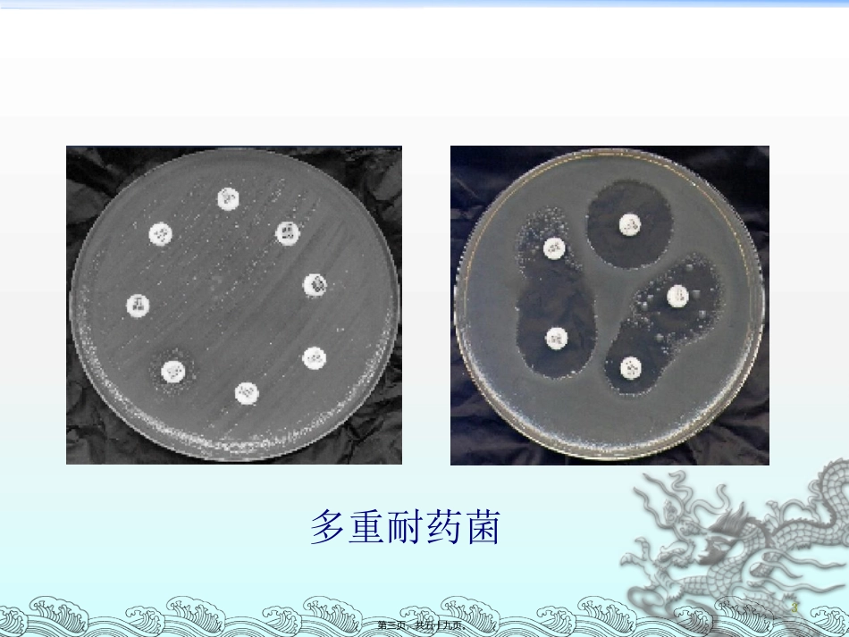 7.多重耐药菌感染流行趋势_第3页