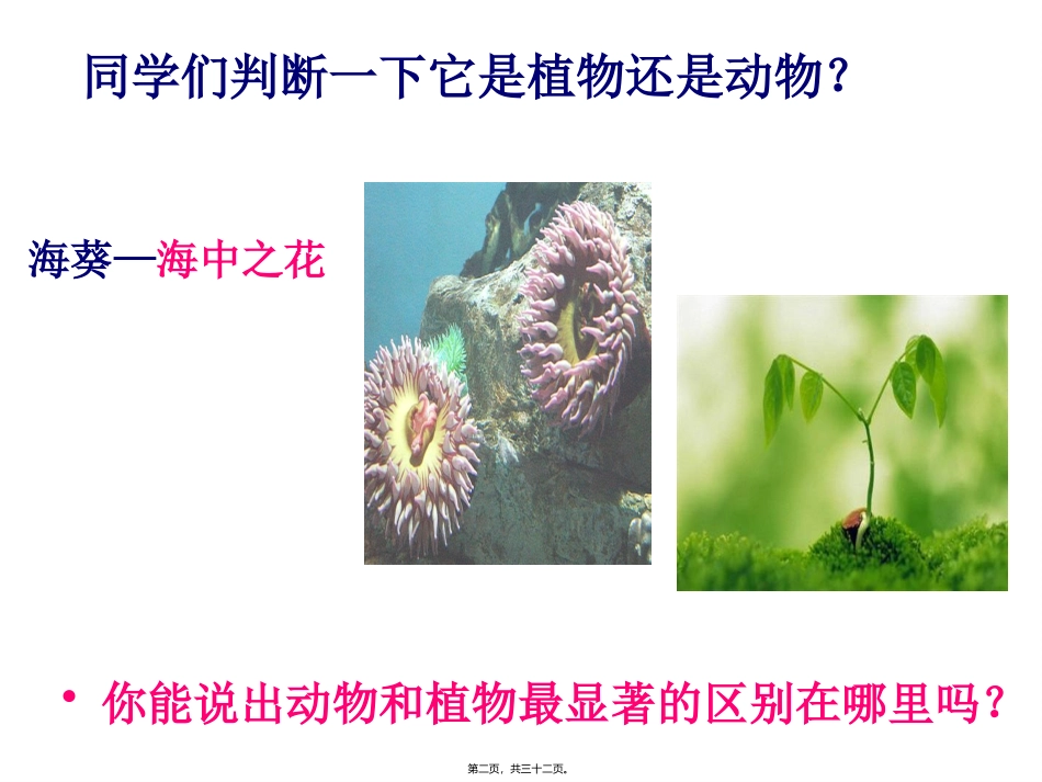 腔肠动物和扁形动物(31张PPT)教学课件_第2页