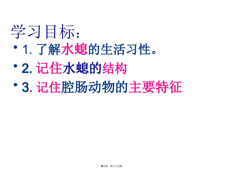 腔肠动物和扁形动物(共22张PPT) 医学教学课件_第3页