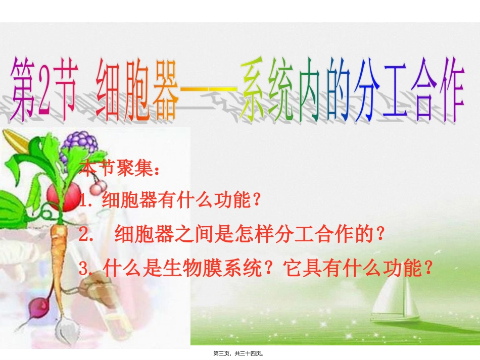 《细胞器--系统内的分工合作》(人教版必修1)课件_第3页