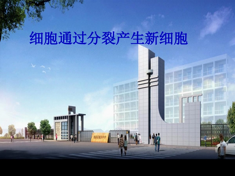 《细胞通过分裂产生新细胞》生物课程课件_第1页