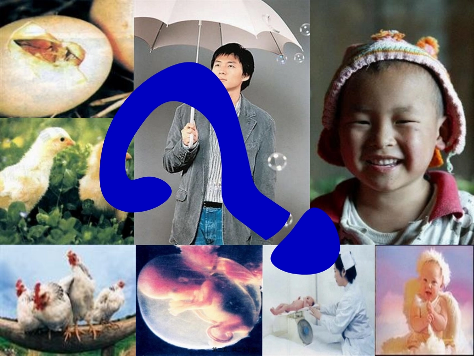 《细胞通过分裂产生新细胞》生物课程课件_第2页