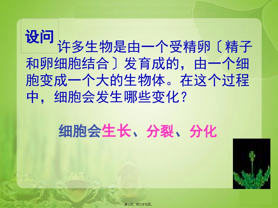 《细胞通过分裂产生新细胞》生物课程课件_第3页
