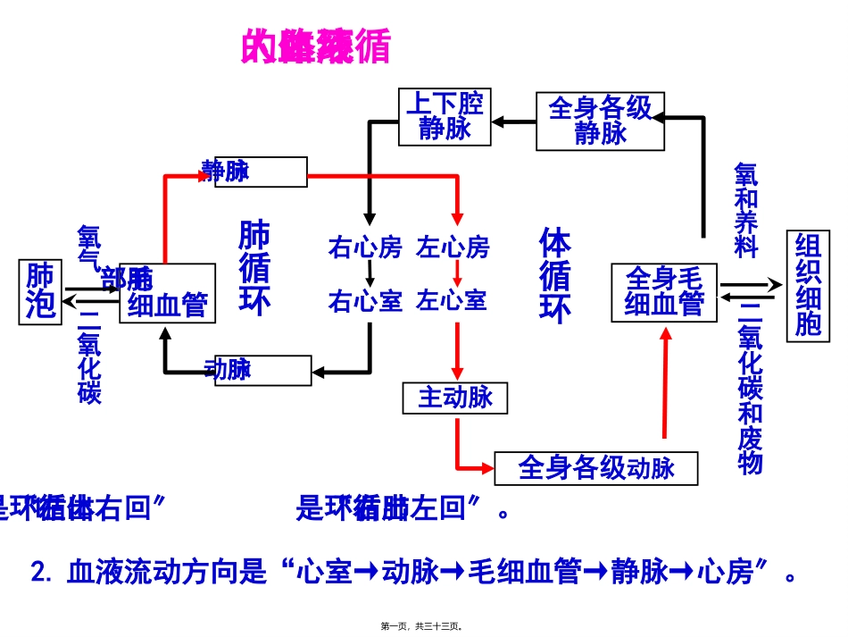 人体的排泄 医学教学课件_第1页