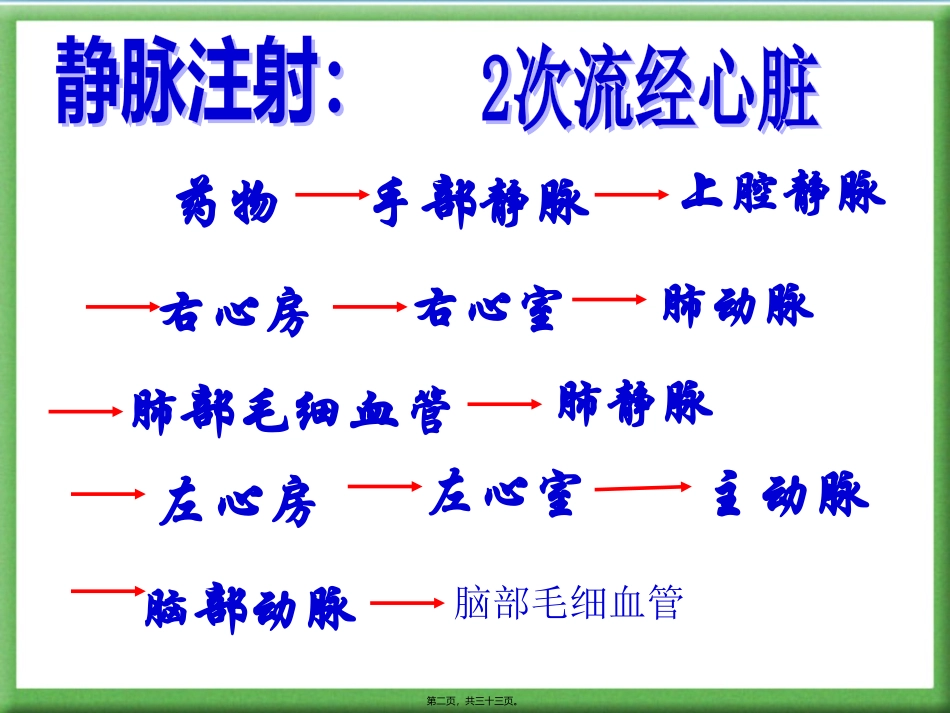 人体的排泄 医学教学课件_第2页