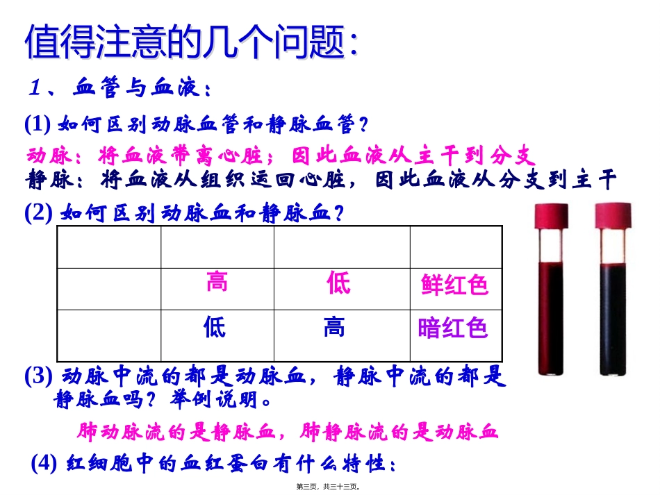 人体的排泄 医学教学课件_第3页