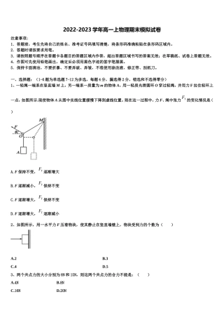 新疆维吾尔自治区库尔勒市新疆兵团第二师华山中学2022年高一物理第一学期期末复习检测试题含解析