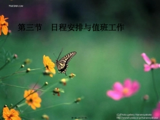 日程安排与值班事务 培训课件