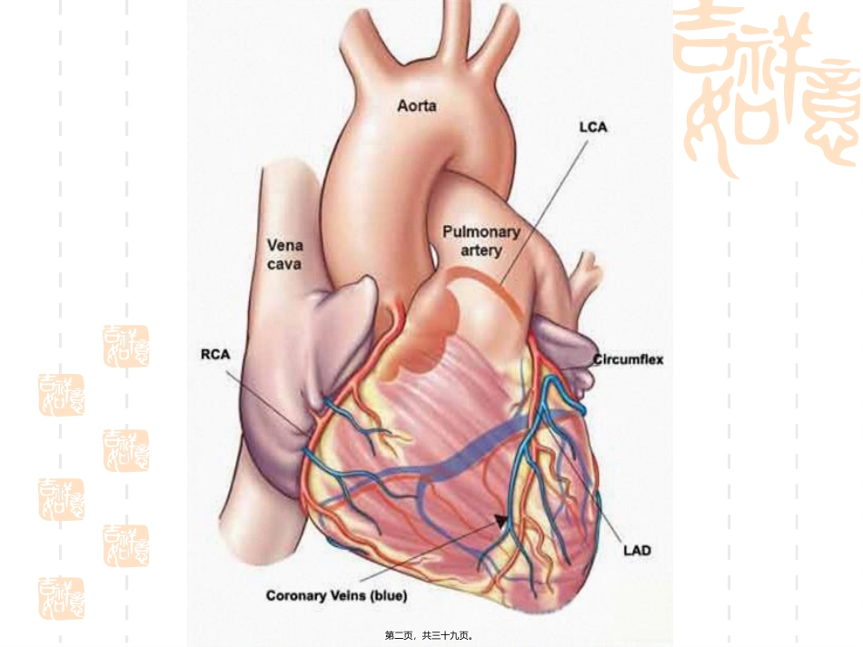 STEMI心电图识别和急诊PCI_第2页