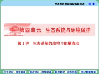 第1讲--生态系统的结构与能量流动